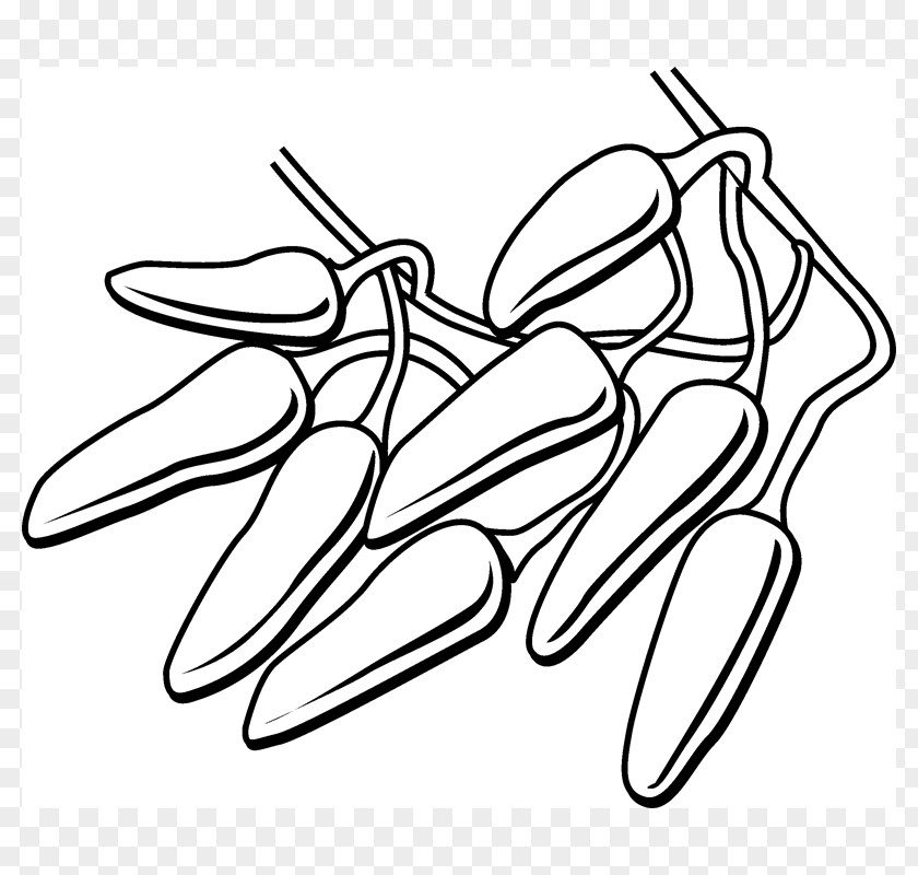 Bhut Jolokia Drawing Line Art /m/02csf Clip PNG