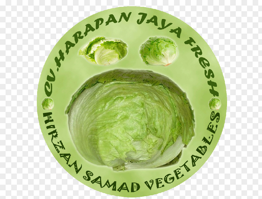 Bulat CV. Harapan Jaya Lettuce Supplier Sayuran Segar Business PNG