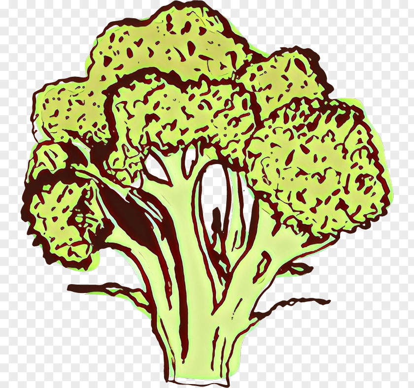 Cabbage Line Art Plant Leaf Vegetable Clip Stem Flower PNG