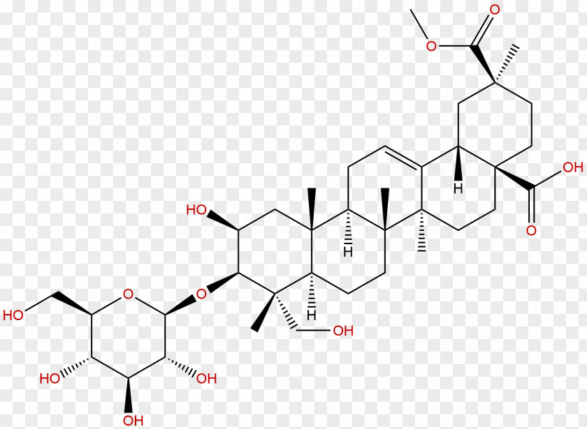 Esculent Chemical Compound Chemistry Acid Organic Saponin PNG