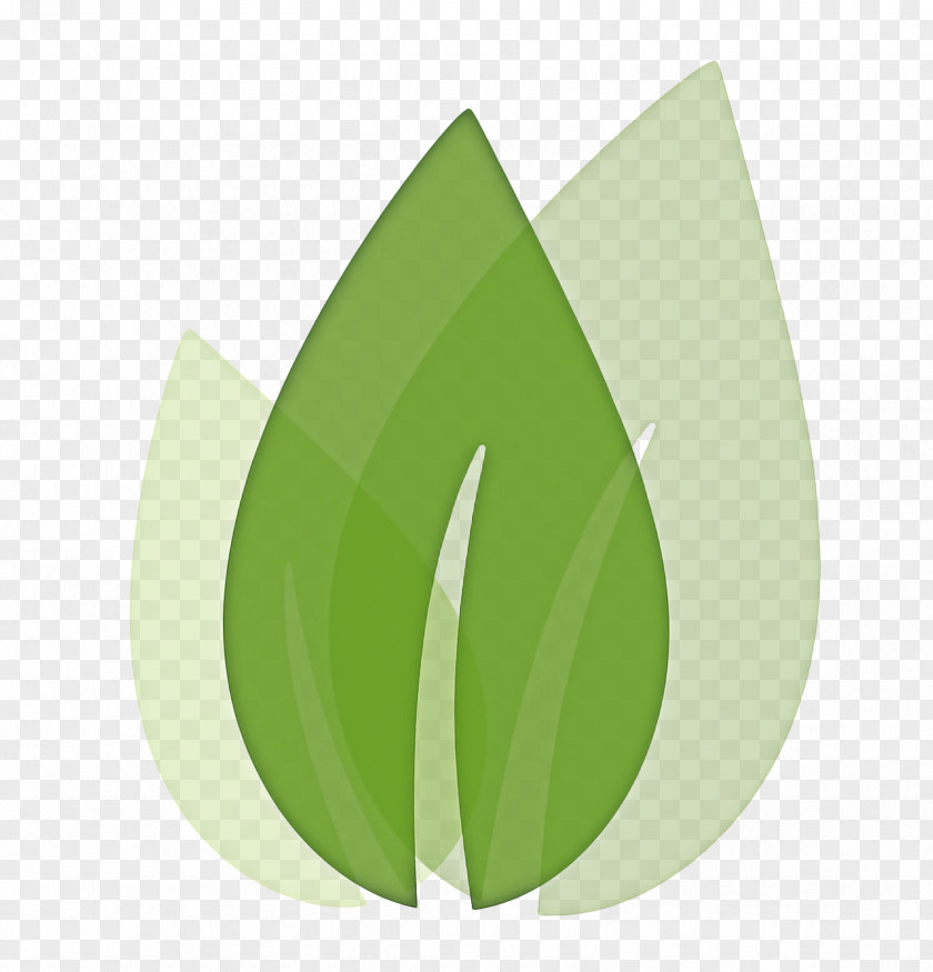 Flower Grass Green Leaf Logo PNG