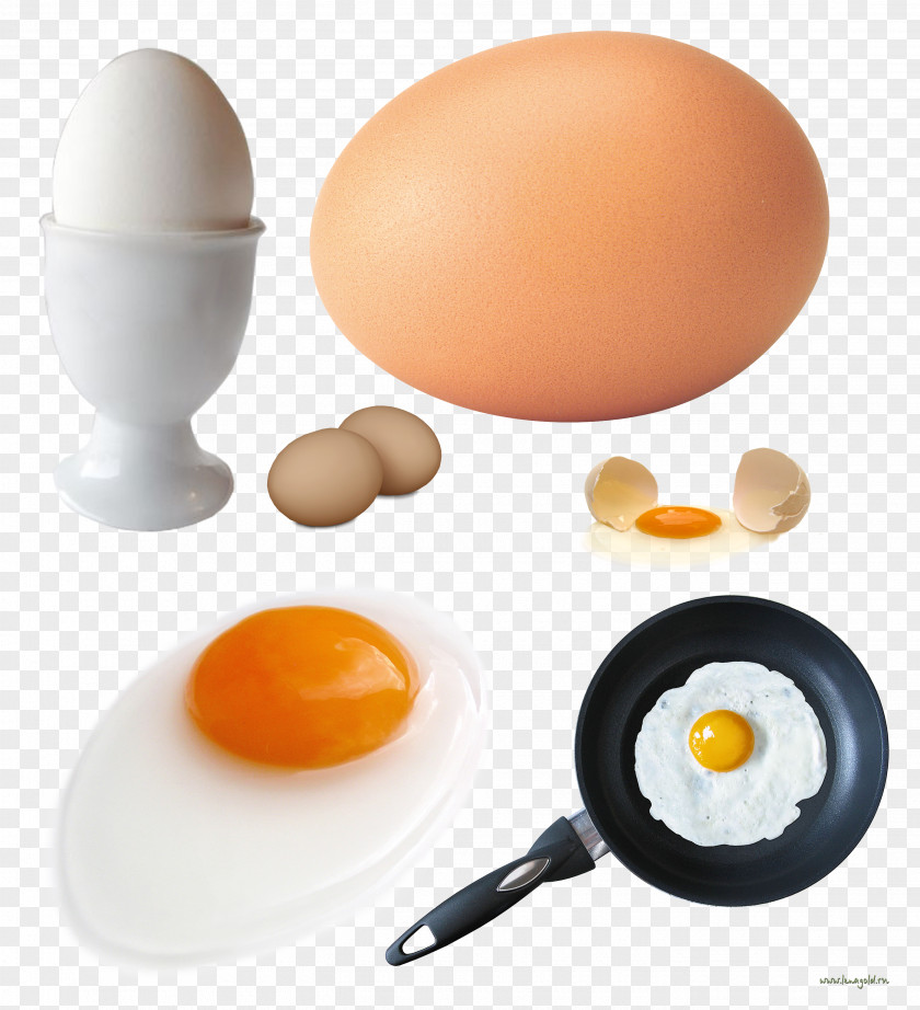 Fried Chicken Egg Omelette Frying Pan PNG