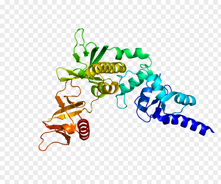 Gtpase Centaurin, Alpha 1 Protein P110α Gene Nucleolin PNG
