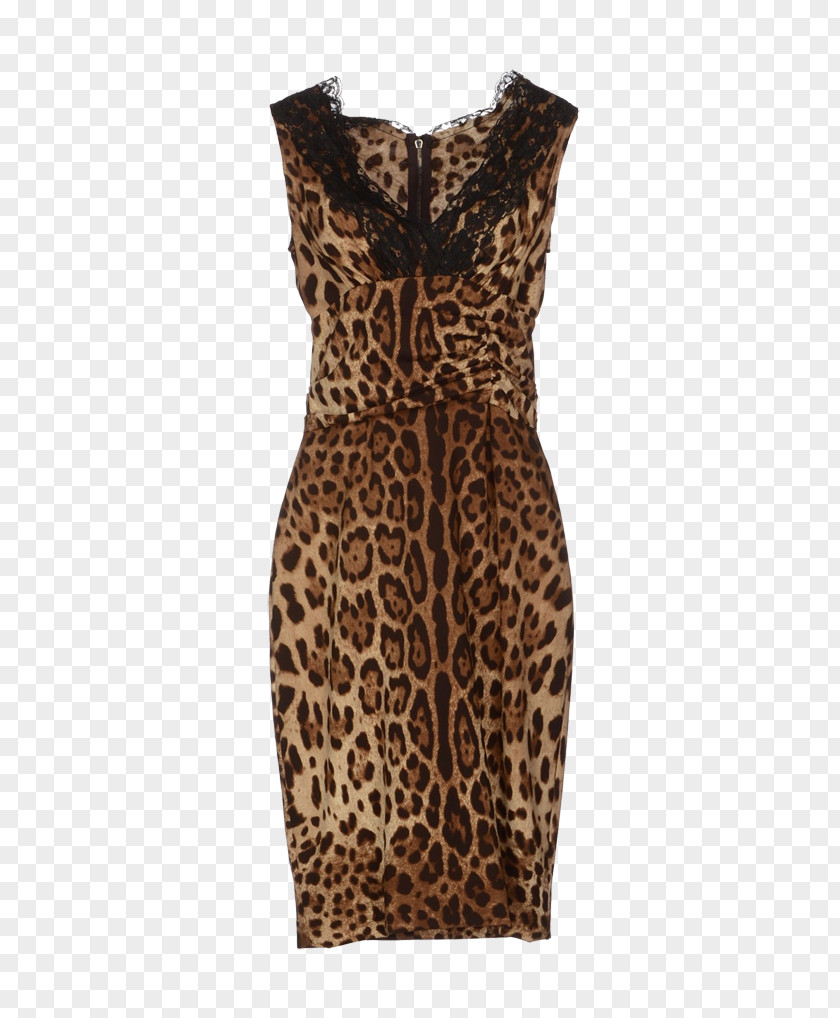 Leopard Cheetah Dress Clothing Animal Print PNG