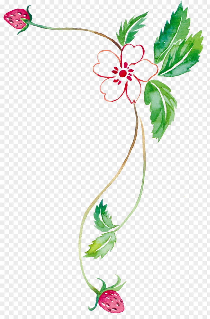 Strawberry Vine Watercolor Painting Tabloid Clip Art PNG