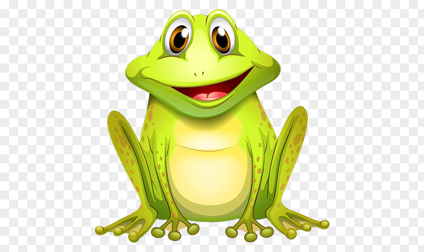 Toad Frog Royalty-free Clip Art PNG