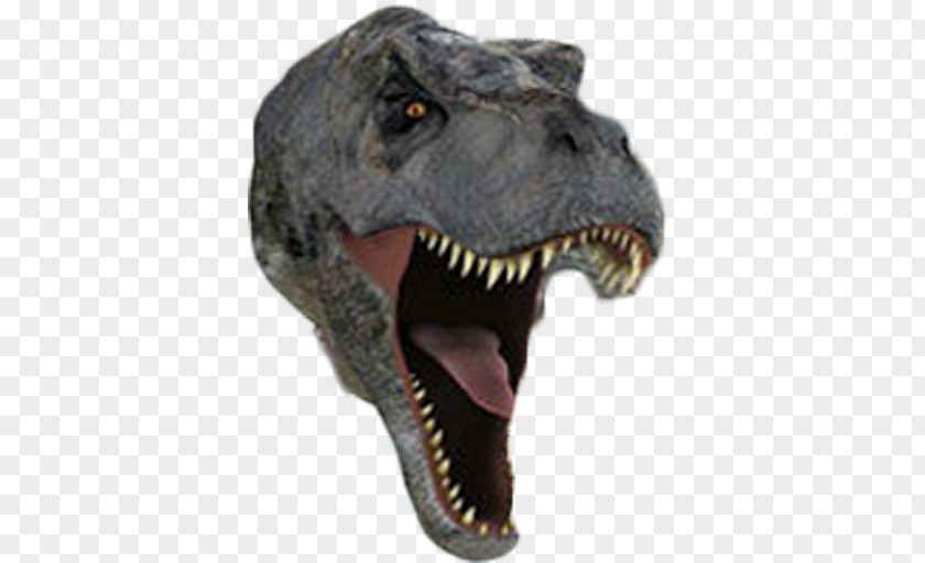 Dino Google Tyrannosaurus Velociraptor Jurassic Park: The Ride Jaw PNG