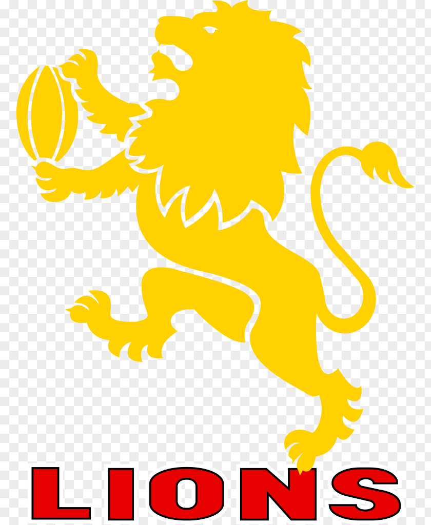 Lions Head Ellis Park Stadium Golden Vodacom Cup Pumas PNG