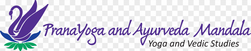 Mandala Yoga Logo Desktop Wallpaper Brand Close-up Font PNG