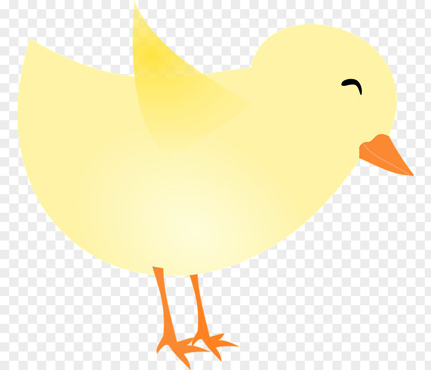 Water Bird Yellow Easter Background PNG