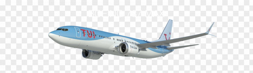 Airplane Boeing 737 Next Generation 767 787 Dreamliner MAX PNG