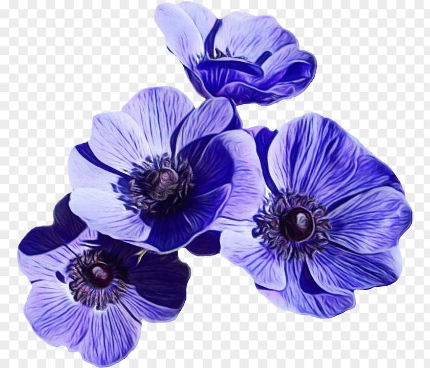 Artificial Flower Blue Cut Flowers Lily PNG