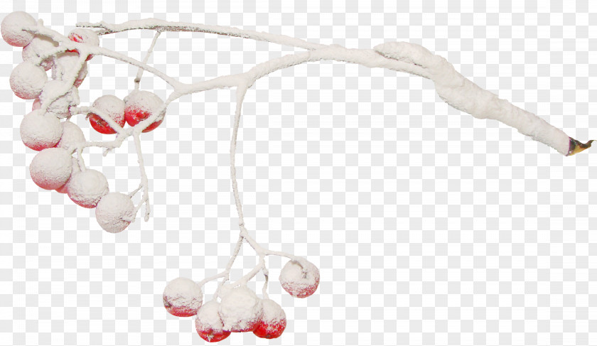 Chilli Body Jewellery Toy Infant PNG