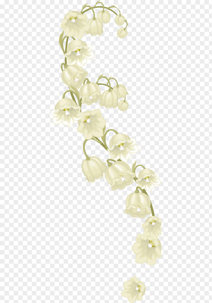Design Petal Floral Cut Flowers PNG