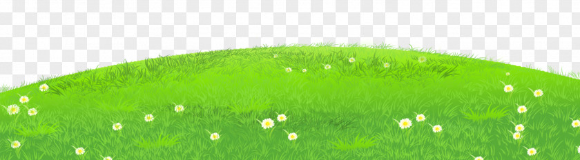 Grass With Daisies Clipart Clip Art PNG