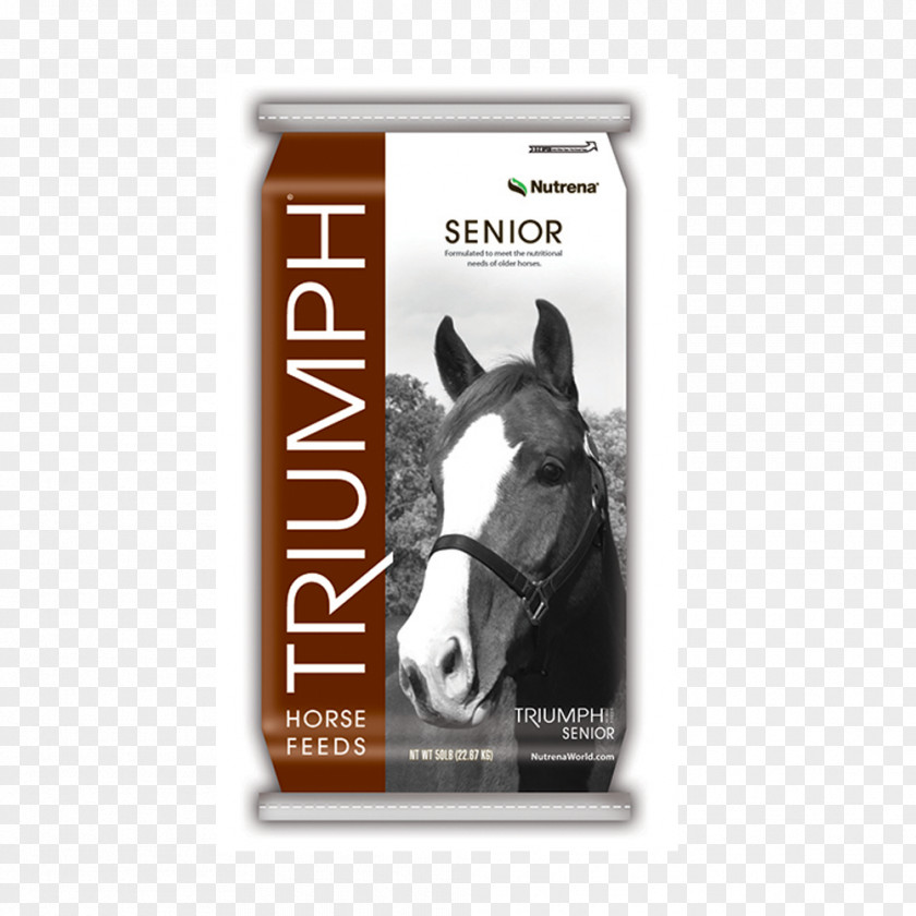 Horse Supplies Pet Animal Colorado Brand PNG