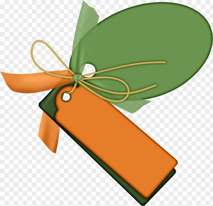 Ignorance Image Ribbon Vector Graphics PNG