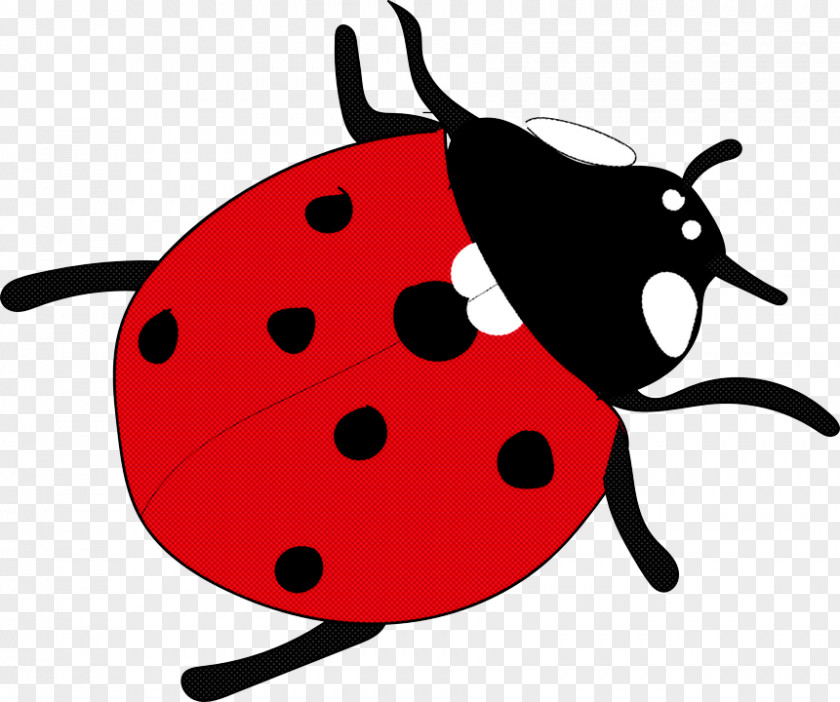 Ladybug PNG