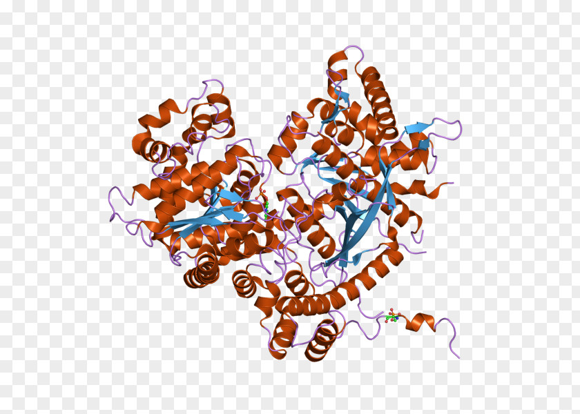 Paris Illustration Protein Plakophilin-1 Troponin T PNG