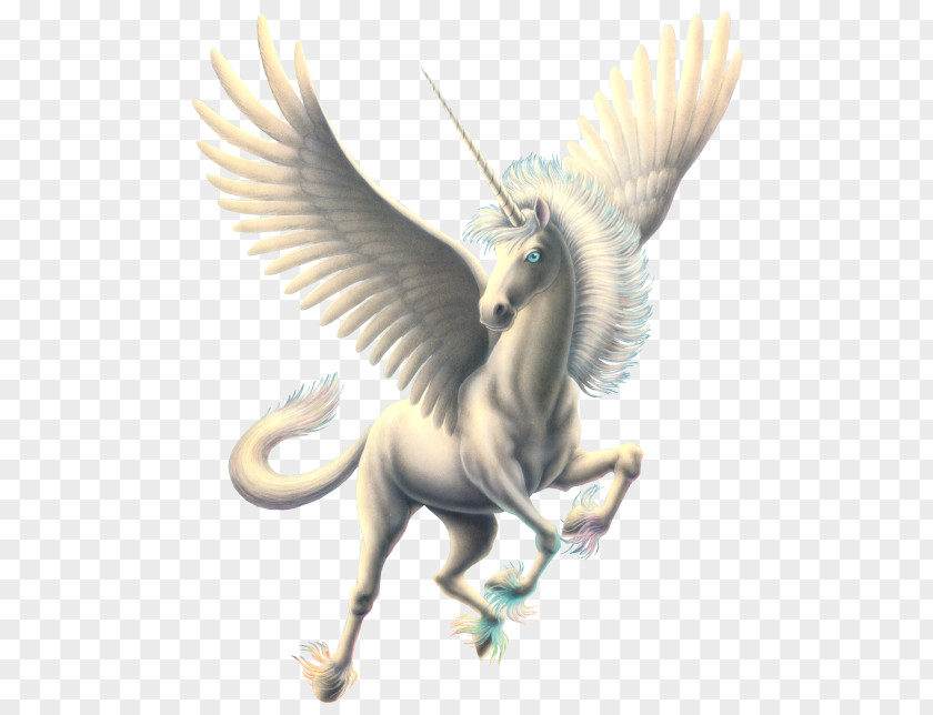Pegasus Desktop Wallpaper PhotoScape PNG