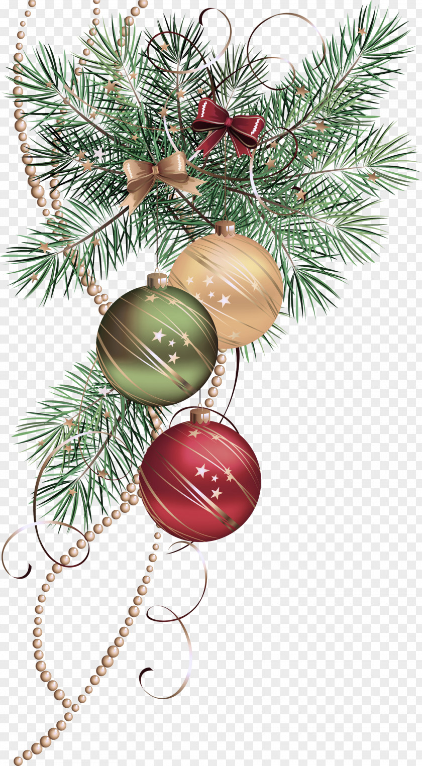 Pine Christmas Ornament PNG