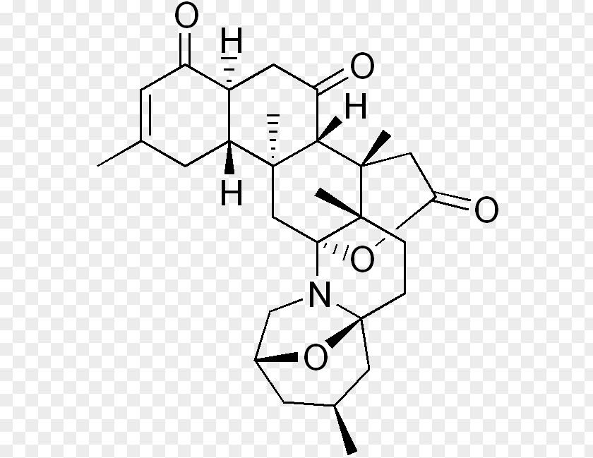 Amino Acid Alkaloid Biochemistry PNG