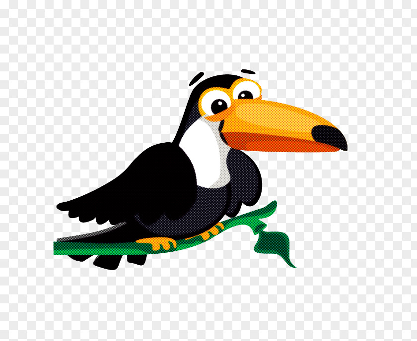 Bird Toucan Beak Cartoon Piciformes PNG