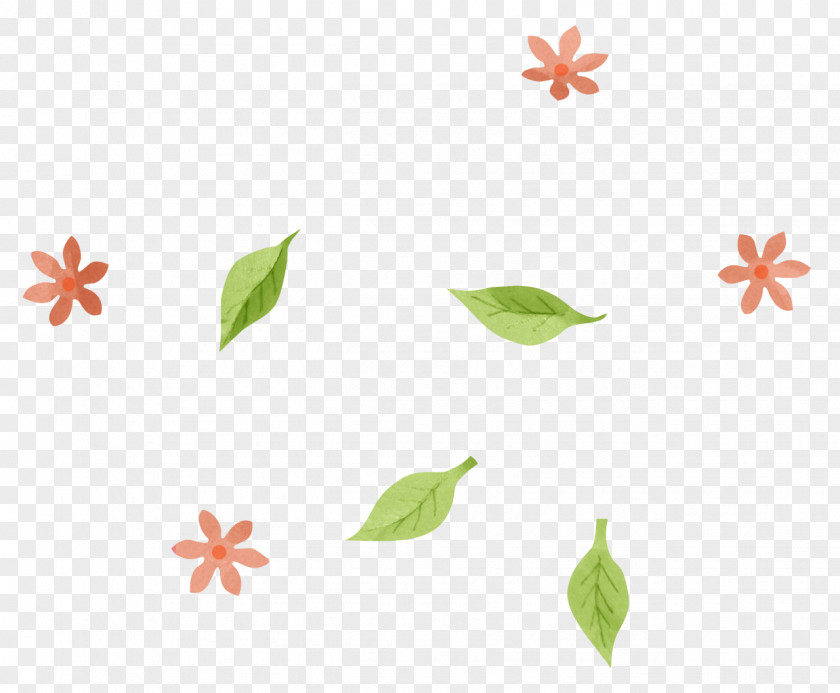 Organism Plant Stem Flower PNG