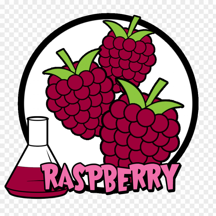 Raspberries Food Cheesecake Flavor Tart Electronic Cigarette Aerosol And Liquid PNG