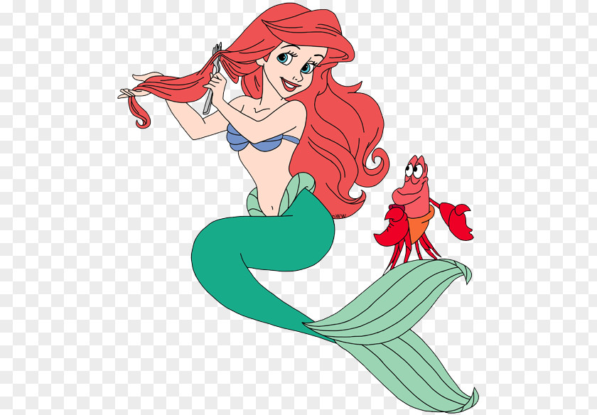 Ariel Sebastian The Prince Mermaid Walt Disney Company PNG