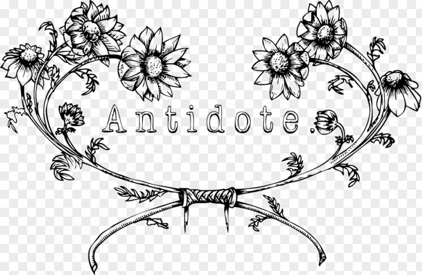 Burst Square Antidote Apothecary + Tea Bar Floral Design Art Alternative Health Services ANTIDOTE STORE PNG