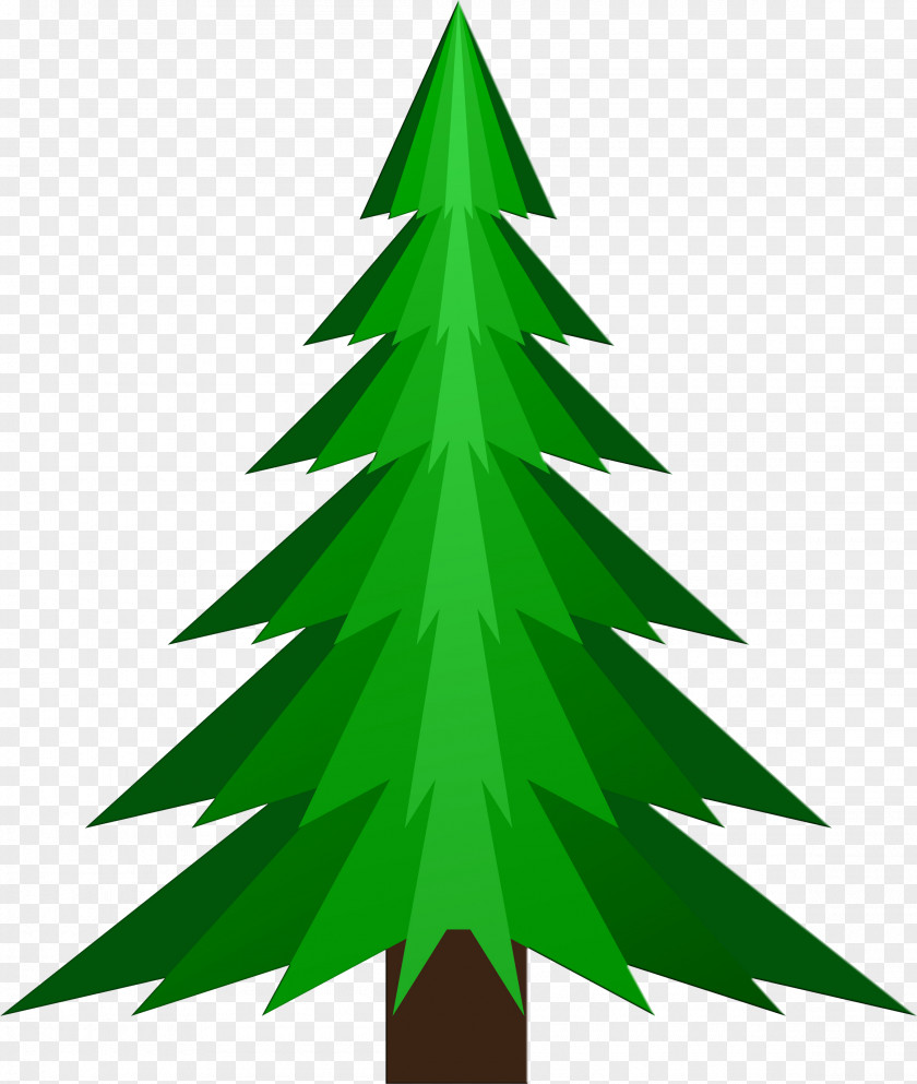 Christmas Tree Pine PNG