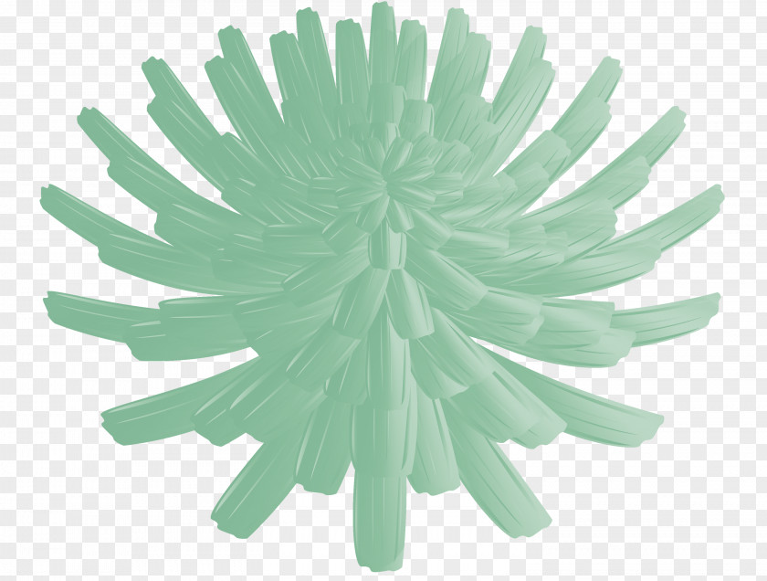 Dandelion Flower PNG