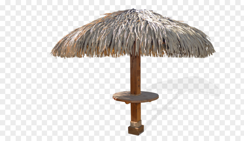 Wood Palapa Thatching PNG