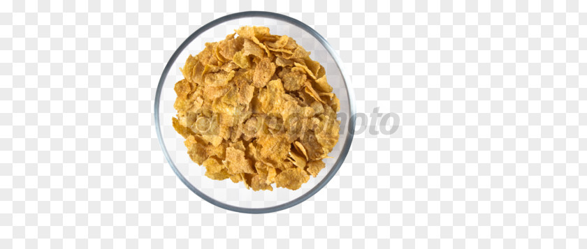 Corn Flakes Maize Dish Network PNG