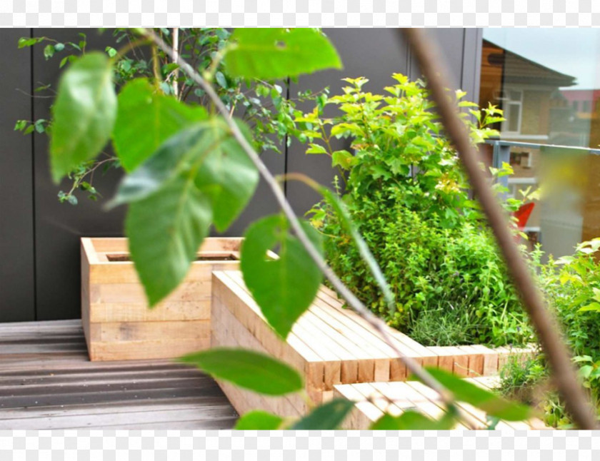 Design Landscape Garden Architecture PNG