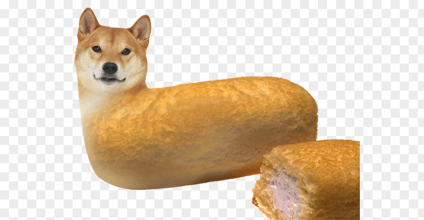 Dogecoin Shiba Inu Desktop Wallpaper PNG