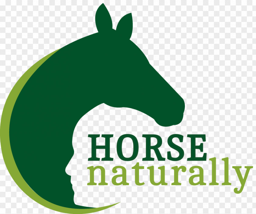 Horse Naturally Amazon.com Chinese Character Fast Finder: Simplified Characters PNG