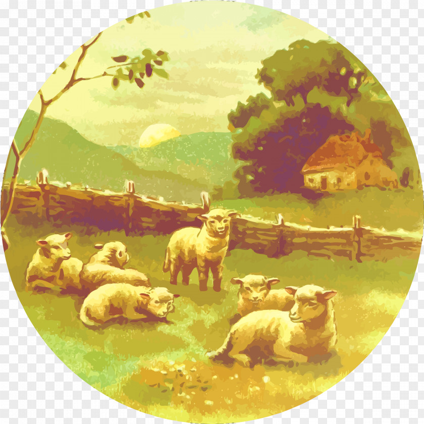 Lamb Sheep Clip Art PNG