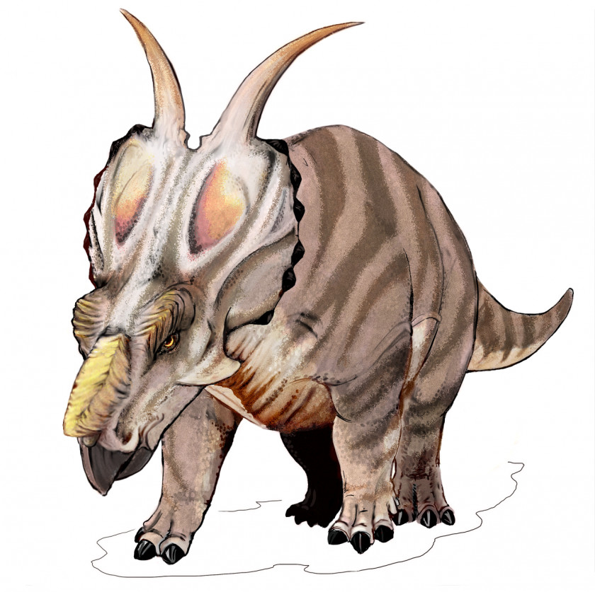 Dinosaur Centrosaurus Einiosaurus Pachyrhinosaurus Styracosaurus Achelousaurus PNG