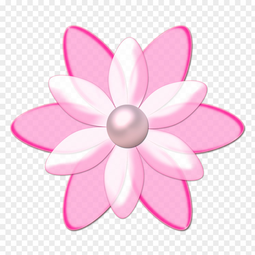 Flor Flower Drawing Animation PNG