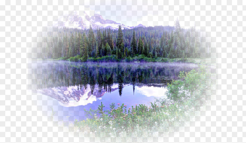 Forest Pond Cartoon Nature Background PNG
