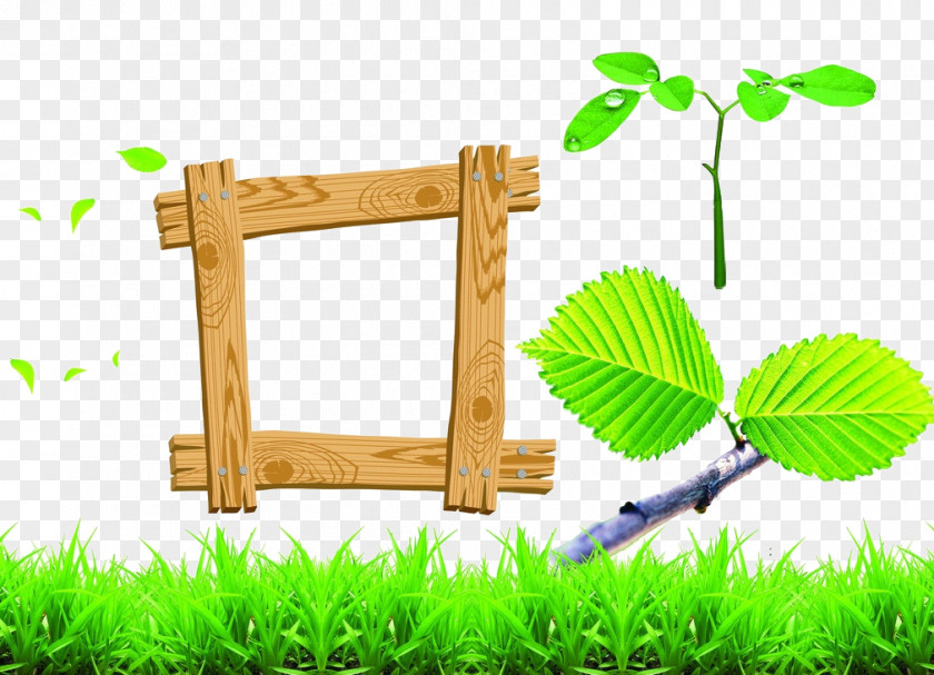 Green Frame Wood Picture PNG
