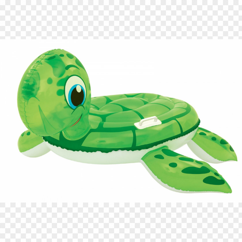Turtle Swimming Pools Inflatable Orange Slice Air Mattresses PNG