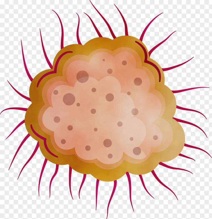 Baking Cup Pollen PNG