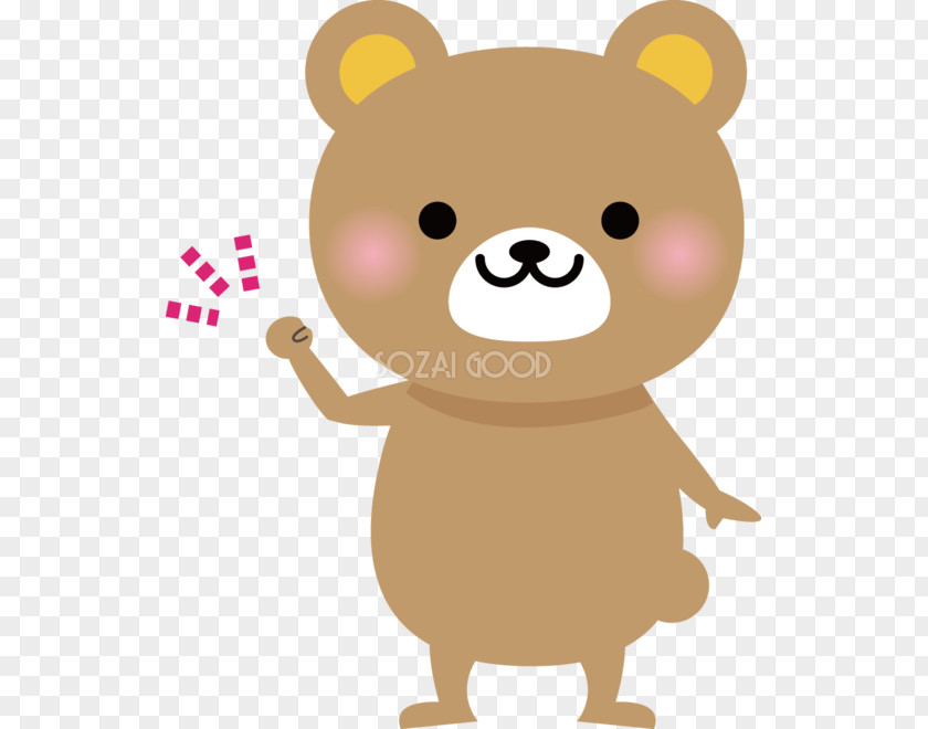 Bear Kumamon メルカート間渕 PNG