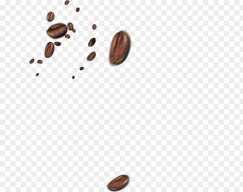 Coffee Beans Bean Cafe Cup PNG