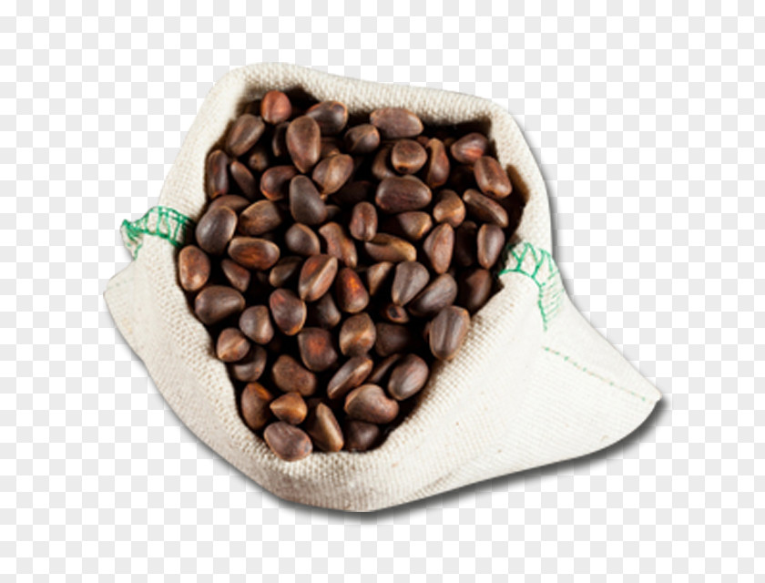 Coffee Sack Pine Nut Nalewka Hazelnut Nuts PNG