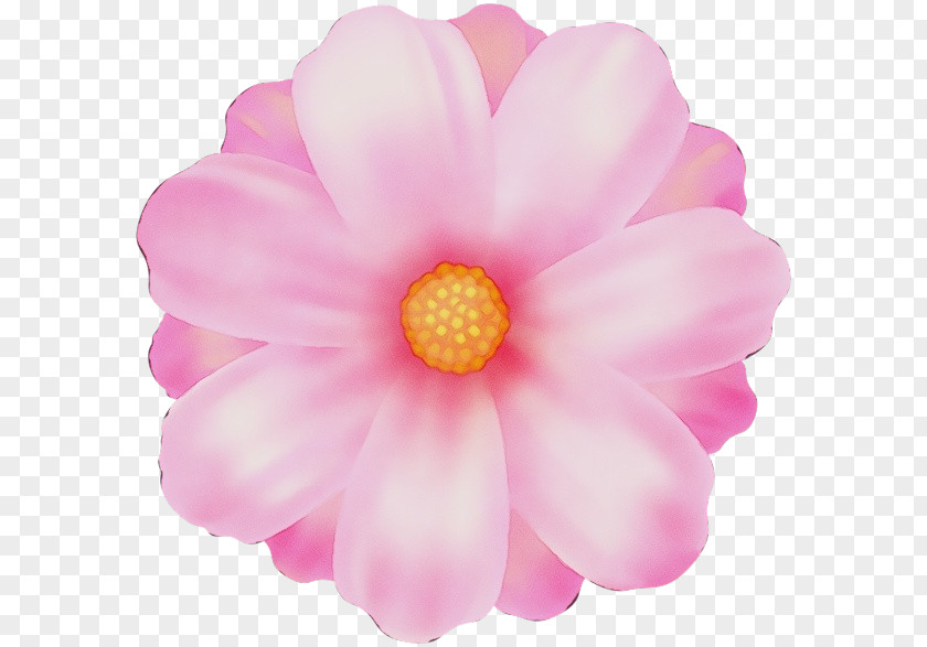 Daisy Family Artificial Flower PNG