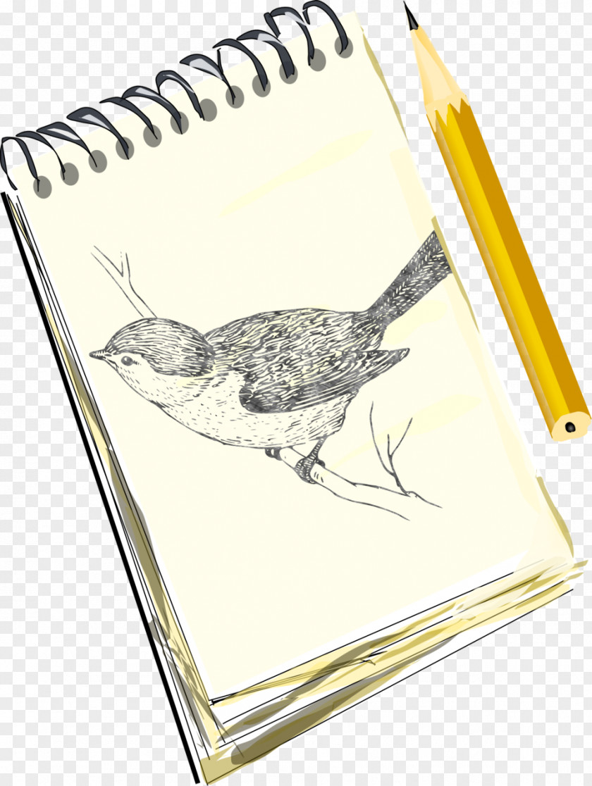 Enlarged Drawing Sketchbook Pencil Sketch PNG